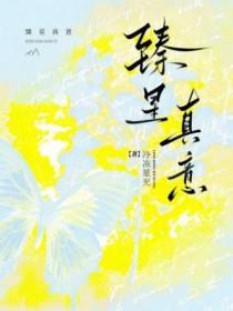 臻意珠宝