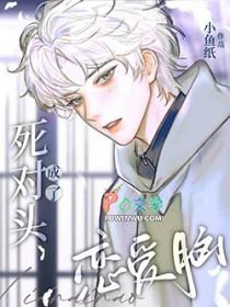 死对头终成情侣