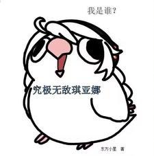 我是谁?究极无敌琪亚娜无弹窗在阅读