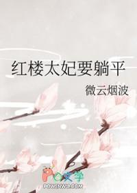 穿越红楼太子妃